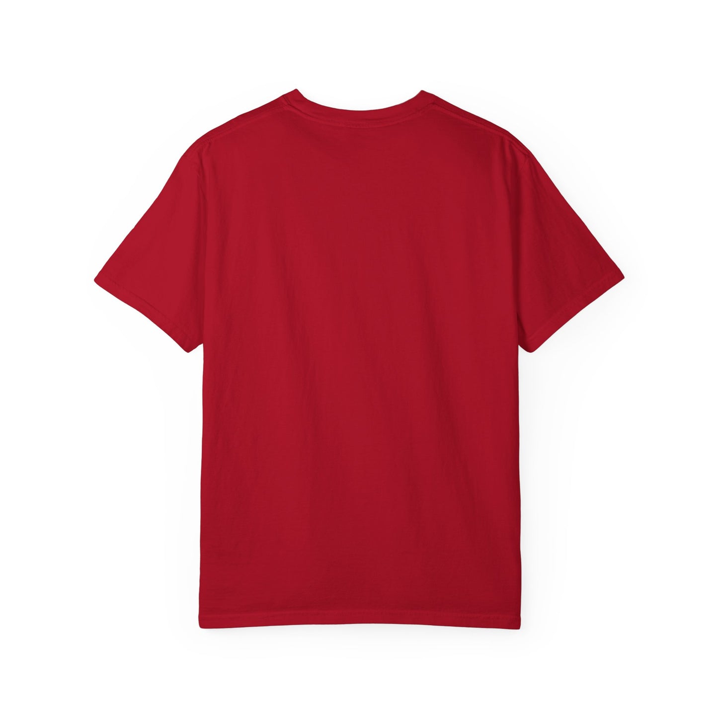Stylish Unisex Garment-Dyed T-Shirt – JJL Styles EST. 2025